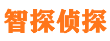 阳谷市私家侦探